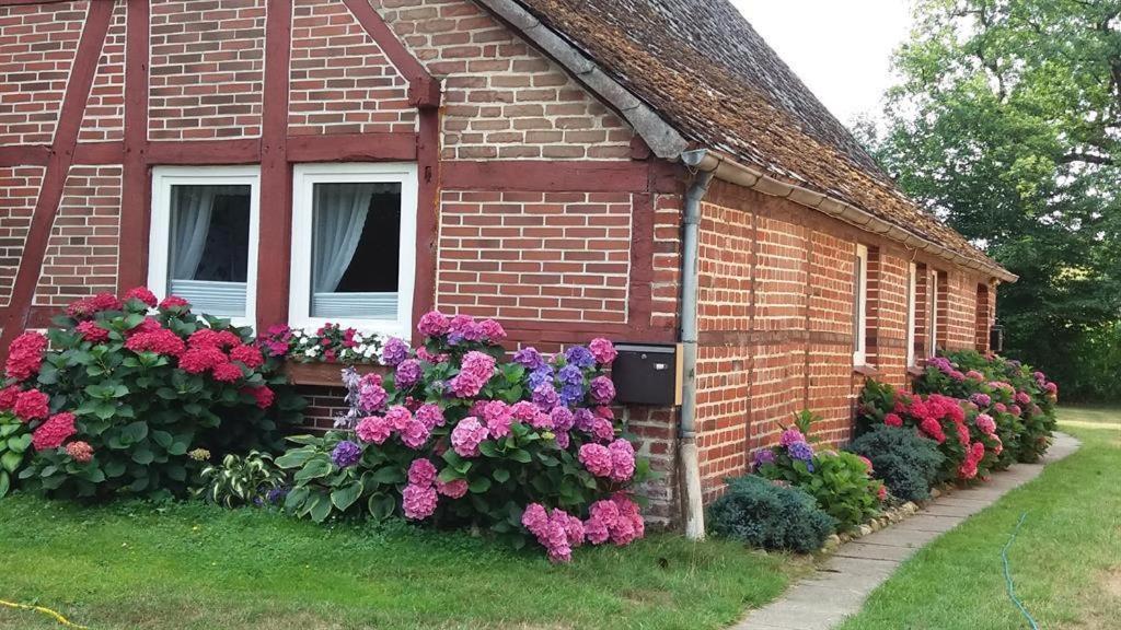 Von Wiegen, Ferienwohnungen Schneverdingen Kültér fotó